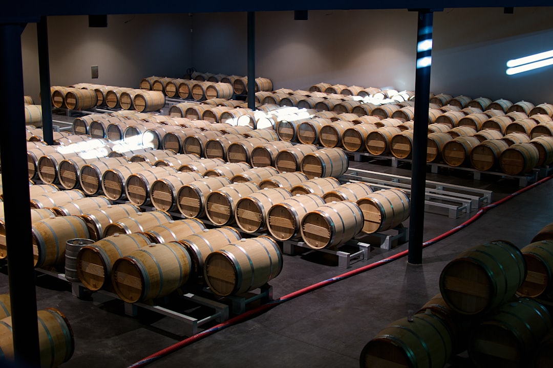 Avec quoi l'ouvrir, et surtout quand — Château Carbonnieux : le blanc de Pessac qu'on a tort de négliger