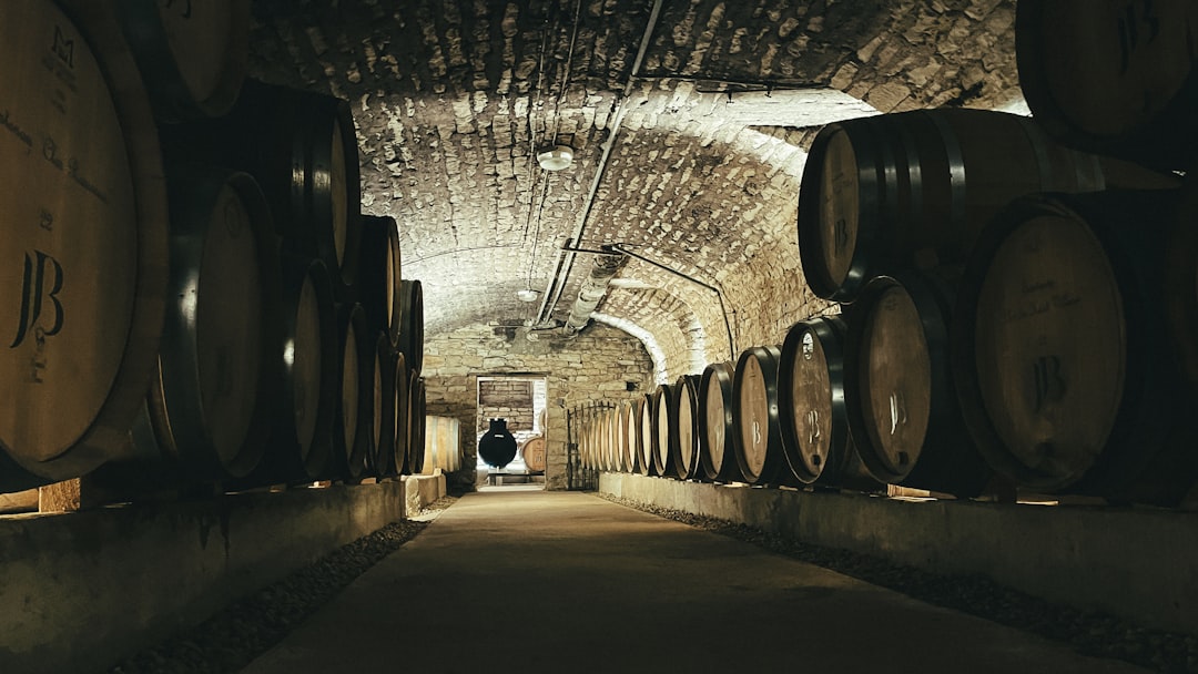 La recette : Chardonnay, Pinot Noir, et des parcelles bien précises — Dom Pérignon : ce qu'on paie vraiment dans la bouteille
