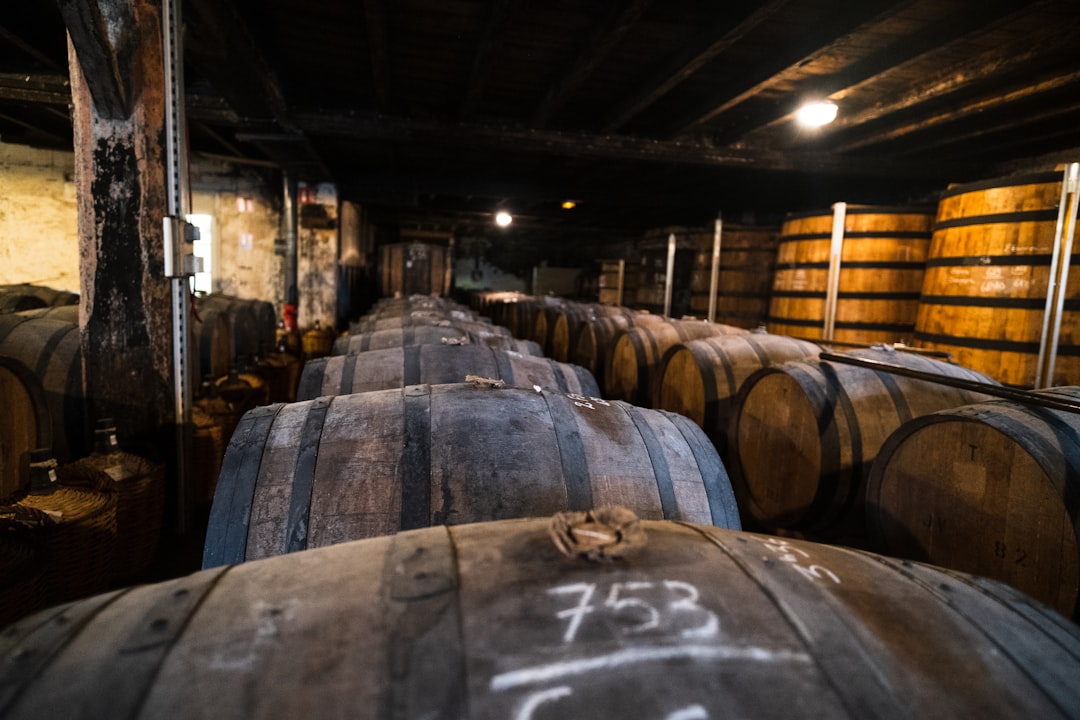 Volnay et Pommard : le cœur du domaine — De Montille : quand la Bourgogne se montre sans fard