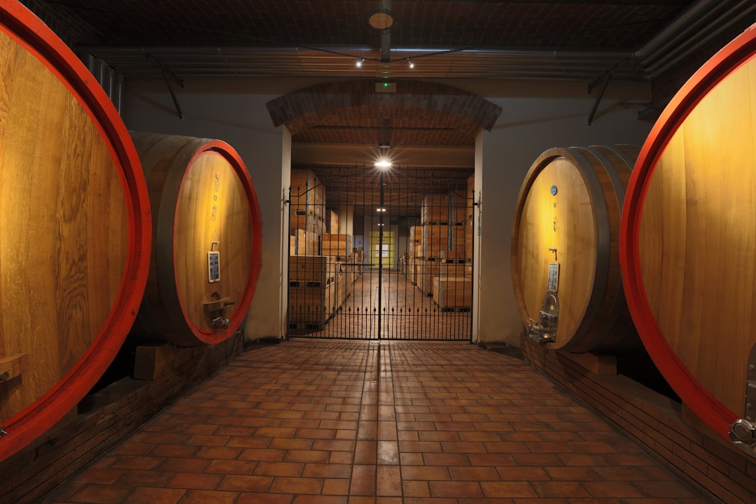 Une parcelle, pas un assemblage : ce qui rend le Clos des Goisses unique — Philipponnat Clos des Goisses : pourquoi cette parcelle divise les amateurs et fascine les connaisseurs