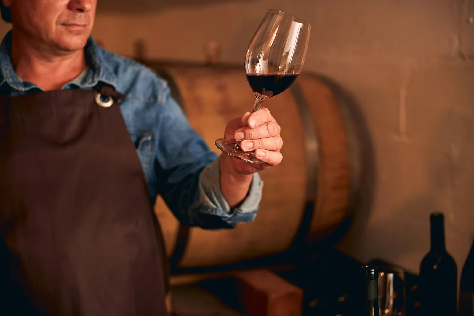 Bourgogne : ce que votre verre de Pinot Noir ou de Chardonnay a vraiment à vous dire