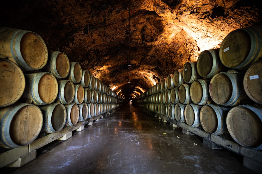 Vouvray : le Chenin Blanc qui refuse de choisir entre sec, demi-sec et moelleux